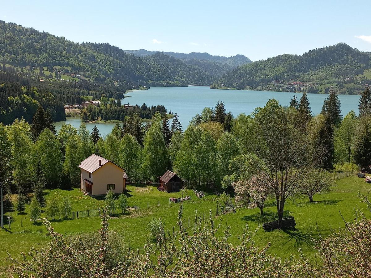 Casa De Vacanta Perla Colibitei Колибица Экстерьер фото