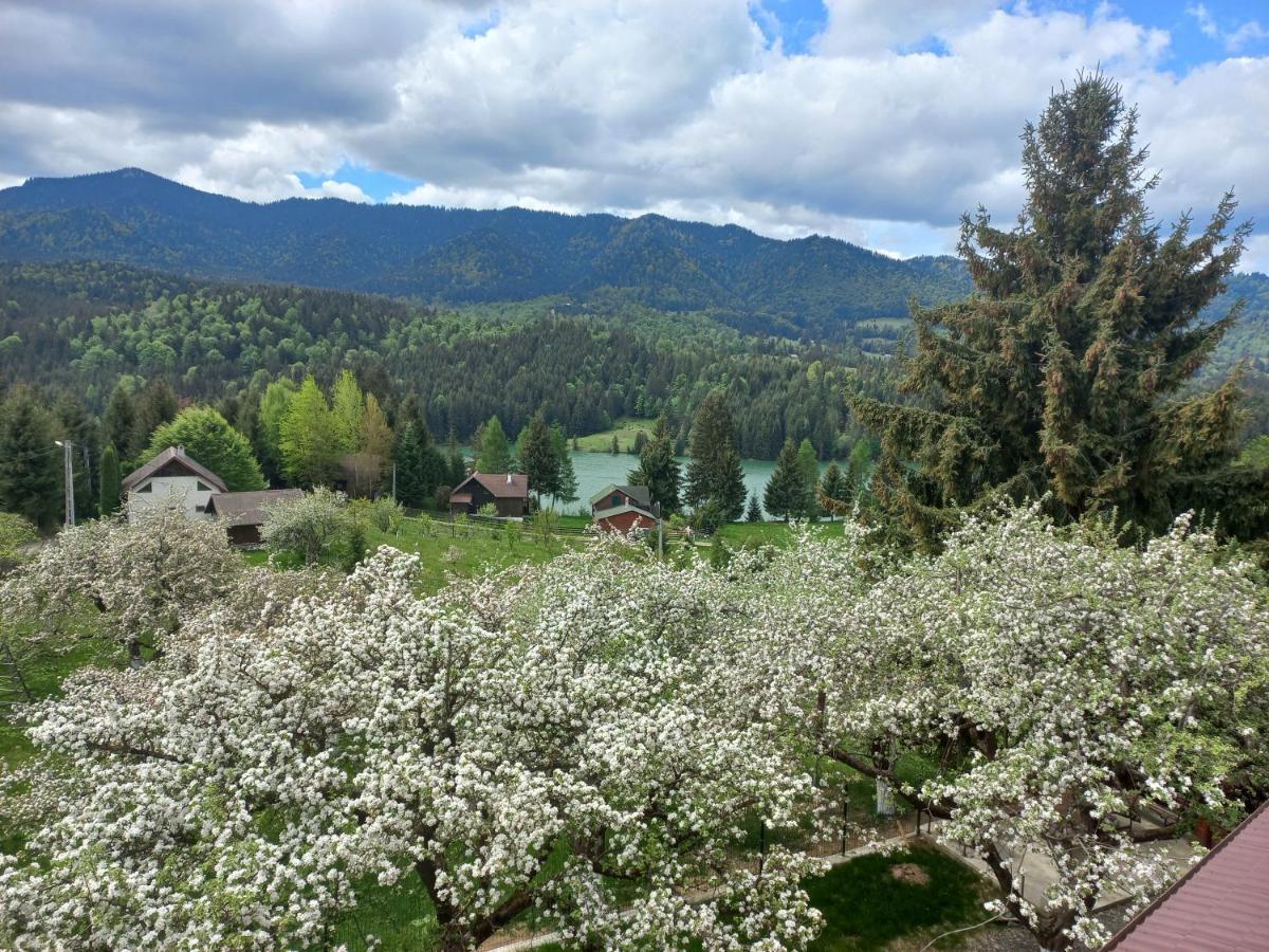 Casa De Vacanta Perla Colibitei Колибица Экстерьер фото