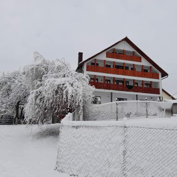Casa De Vacanta Perla Colibitei Колибица Экстерьер фото